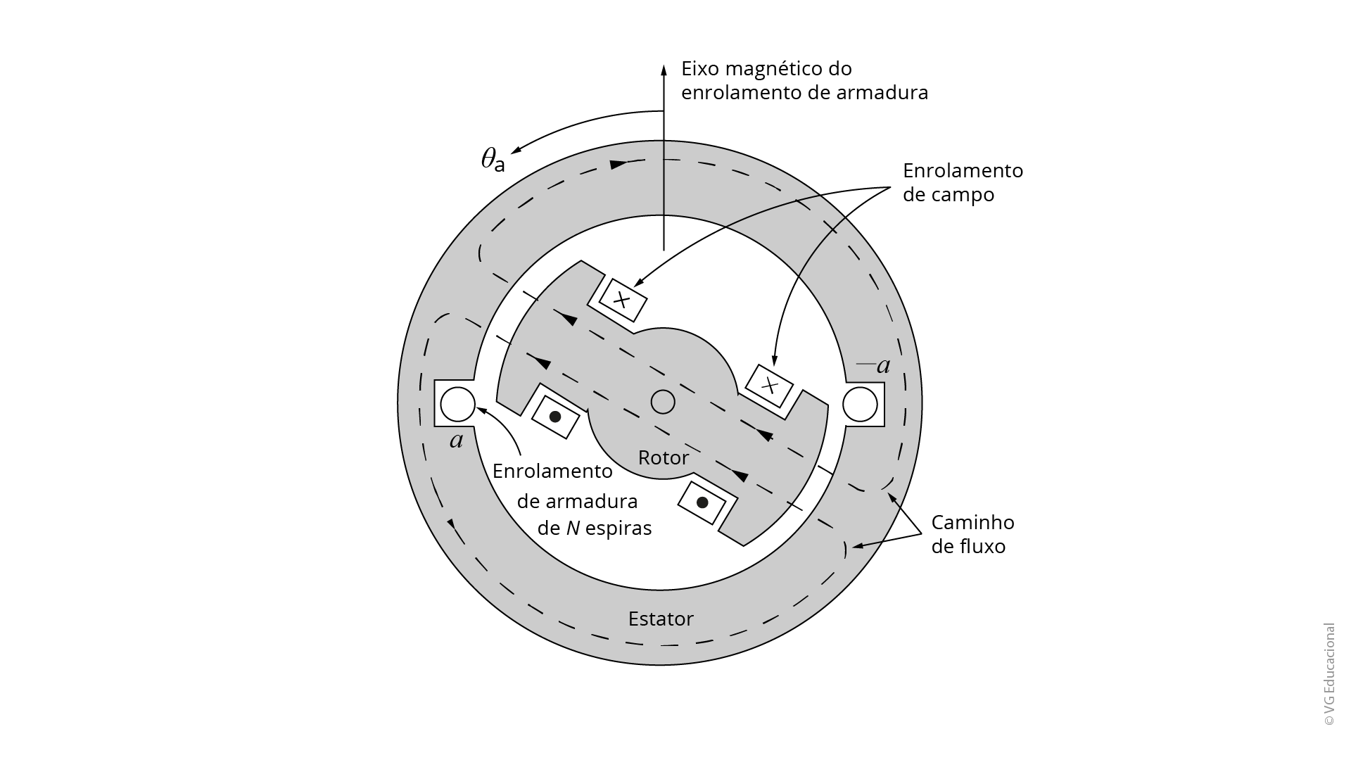 #PraCegoVer: a figura apresenta um corte transversal bidimensional circular de um gerador síncrono monofásico. Ele é constituído de um círculo externo (conhecido como estator) e uma parte móvel no interior desse círculo (conhecida como rotor). No estator estão ranhuras que acomodam os enrolamentos de armadura, os quais são representados pelas letras a e a linha. Além disso, existem duas linhas tracejadas representando o caminho do fluxo magnético no estator. No rotor estão localizados os enrolamentos de campo, que são representados por quatro retângulos: dois retângulos com um ponto escuro no centro e os outros dois com um X. Estes representam o fluxo saindo (retângulos com pontos) e o fluxo entrando (retângulos com X). O caminho do fluxo magnético que passa pelo estator (linhas tracejadas) também passa pelo rotor (linhas tracejadas), formando, com isso, o caminho de fluxo magnético total que circula pela máquina enquanto ela está em operação.